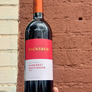 Bottle of Backsberg Cabernet Sauvignon wine held against a textured wall.