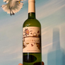 A hand holds a green glass bottle of Cava de Vinytes 'Casteille' white wine against a painted blue wall with a seagull mural.