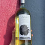 MAGNUM Cora Colline Pescaresi Pinot Grigio (Copy)