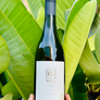 Bottle of wine held in front of large green leaves