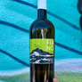 A hand holds a dark glass bottle of Fiano wine in front of a bright turquoise textured wall with painted lines. The bottle has a white capsule and a lime green label featuring a black and white mountain and boat illustration with the text 'FIA NO'.