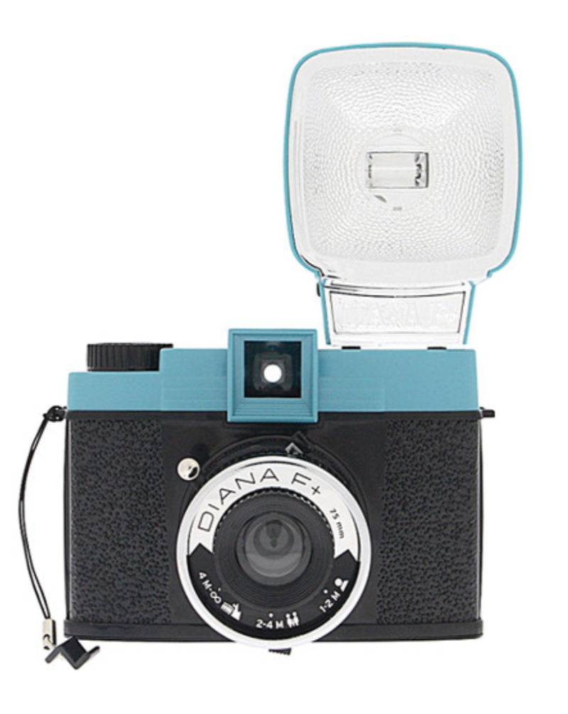 Lomography Diana Baby and Flash Film Camera – VINOVORE Silver Lake