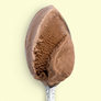 Jeni's Milkiest Chocolate Mini