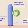 Dame Zee Bullet Vibrator