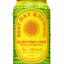 Can of Best Day Brewing Electro-Lime non-alcoholic beer on a white background