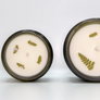 Queer Candle Co. - Desert Bloom Candle