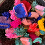 Handmade beanie bottle topper. Super cute, handmade by women!