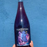 100% Langanesi Emilia Romagna, Italy.  Woman winemaker - Coly den Haan. All natural. Pét-Nat (bubbles). Chillable red. Cranberry jam. Bone-tingling-ly dry. Fresh acide flashback. Flashy, bright berries and minerals.