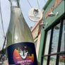 100% Famoso Emilia-Romagna, Italy. Woman in wine - Coly Den Haan. All natural. Pet-Nat (bubbles). Dry orange dreamsicle. Super salty, a little creamy, and all dreamy. Granny Smith apples + sage. Half bottle.