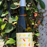 100% Sauvignon Blanc Loire, France. Woman in wine - Jenny Lefcourt. All natural. 40 year old vines. Beyonce's lemonade. Tangerine creamsicle. Dry + tropical. Poolside poison.