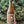 Benny Boy Brewing Meet Me in the Woods Cider