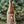 Bottle of beer with a label held in front of a blurred green background