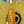 A bottle of High Camp Albariño Orange wine held in front of a sunflower background.