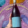 Bottle of High Camp Pinot Noir wine held by a person against a colorful abstract background