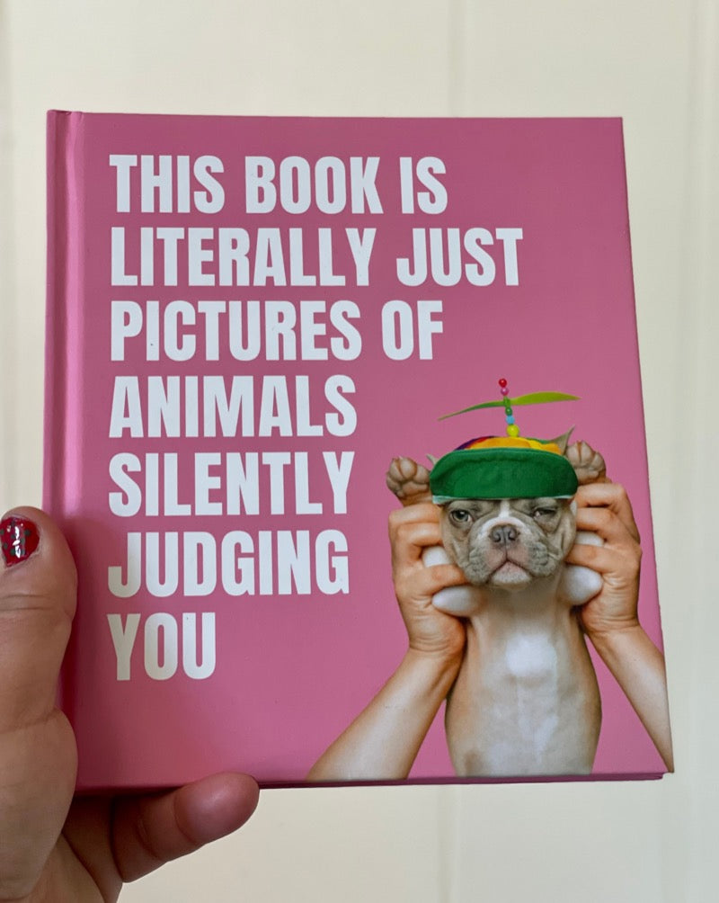 This Book is Literally Just Pictures of Animals Silently Judging You