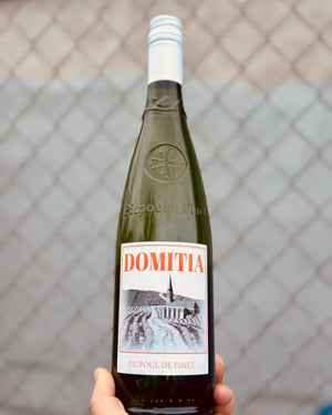 Domitia Picpoul de Pinel