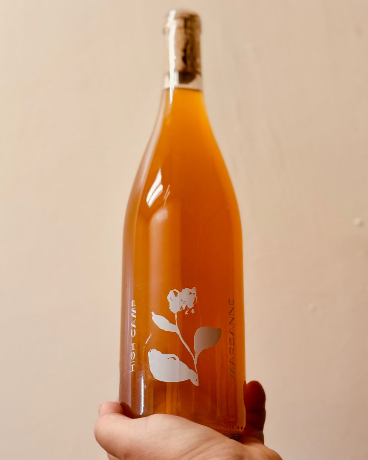 Hand holding a bottle of amber liquid with a cork, against a beige background
