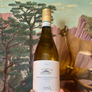 Zena Verdicchio dei Castelli di Jesi Classico