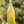 High Camp Skin Contact Sauvignon Blanc