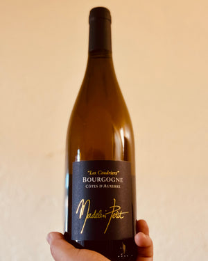 Domaine Madelin Petit Les Coudriers Bourgogne