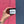 A hand holding a black jar of Sappho & Faire Abundance Growth - SSSS hair product, set against a split pink and dark blue textured wall background.