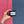 A hand holding a black jar of 'Queer Joy' body butter against a split blue and pink textured wall background.