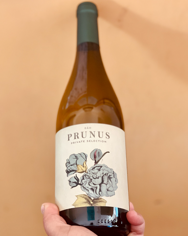 50% Encruzado / 15% Malvasia Fina / 15% Bical / 15% Cereal Nacional. Dão, Portugal.  Woman winemaker - Natalia Jessa. All natural. Olive oil infused with rosemary and lemon peels. Wild flower bouquet. Mineral zest. Guava curd. Salted white peaches. Fresh grapefruits. Dried Apricots.