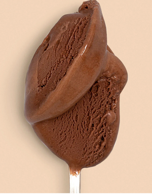 Jeni's Darkest Chocolate Mini