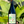 100% Grenache Valle de Gaudelupe, Baja, Mexico.Woman Winemaker - Silvana PijoanAll natural.Chillable red.A beautiful mess of Grenaches.A mega juicy squirt gun blasting red berry juice and earth on your face.Soft spicy kick.Rainbow bright. 