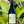 100% Grenache Valle de Gaudelupe, Baja, Mexico.Woman Winemaker - Silvana PijoanAll natural.Chillable red.A beautiful mess of Grenaches.A mega juicy squirt gun blasting red berry juice and earth on your face.Soft spicy kick.Rainbow bright.Â