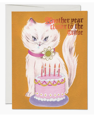 Kitty and Cake Birthday Greeting Card