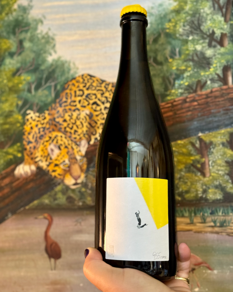 100% Gruner Vetliner. Kamptal, Austria  Woman winemaker - Martina Schachenhuber. All natural. Pét-nat (bubbles). Jumpy and lively like a bouncy house filled with green apples, white peaches and a big basket of mixed citrus. Vermouth vibes. Zero dosage (sugar) Limited and lovely