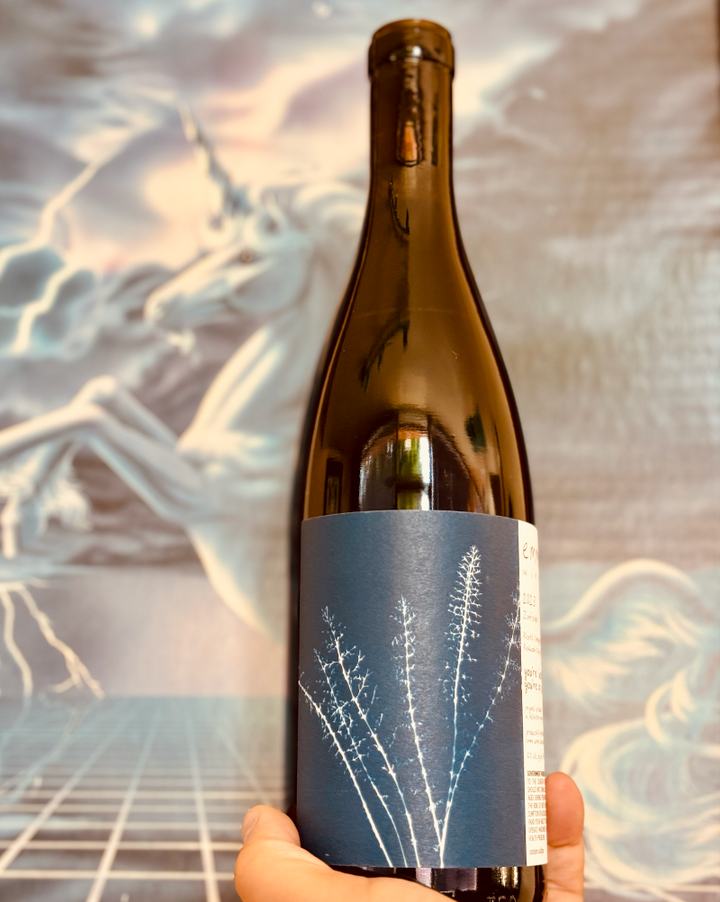 100% Zinfandel
Redwood Valley, Mendocino, California.

Woman winemaker - Rosalind Reynolds.
All natural.
Chillable red.
A total banger!
Fernet &nbsp;and wet tobacco.
Dr. Pepper spice.
Expressive and herbal.
Freeze dried strawberry.
Tart and punchy.
Cracked pepper.
Delish funk.