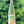 Wine bottle with a colorful label held against a blurred green background