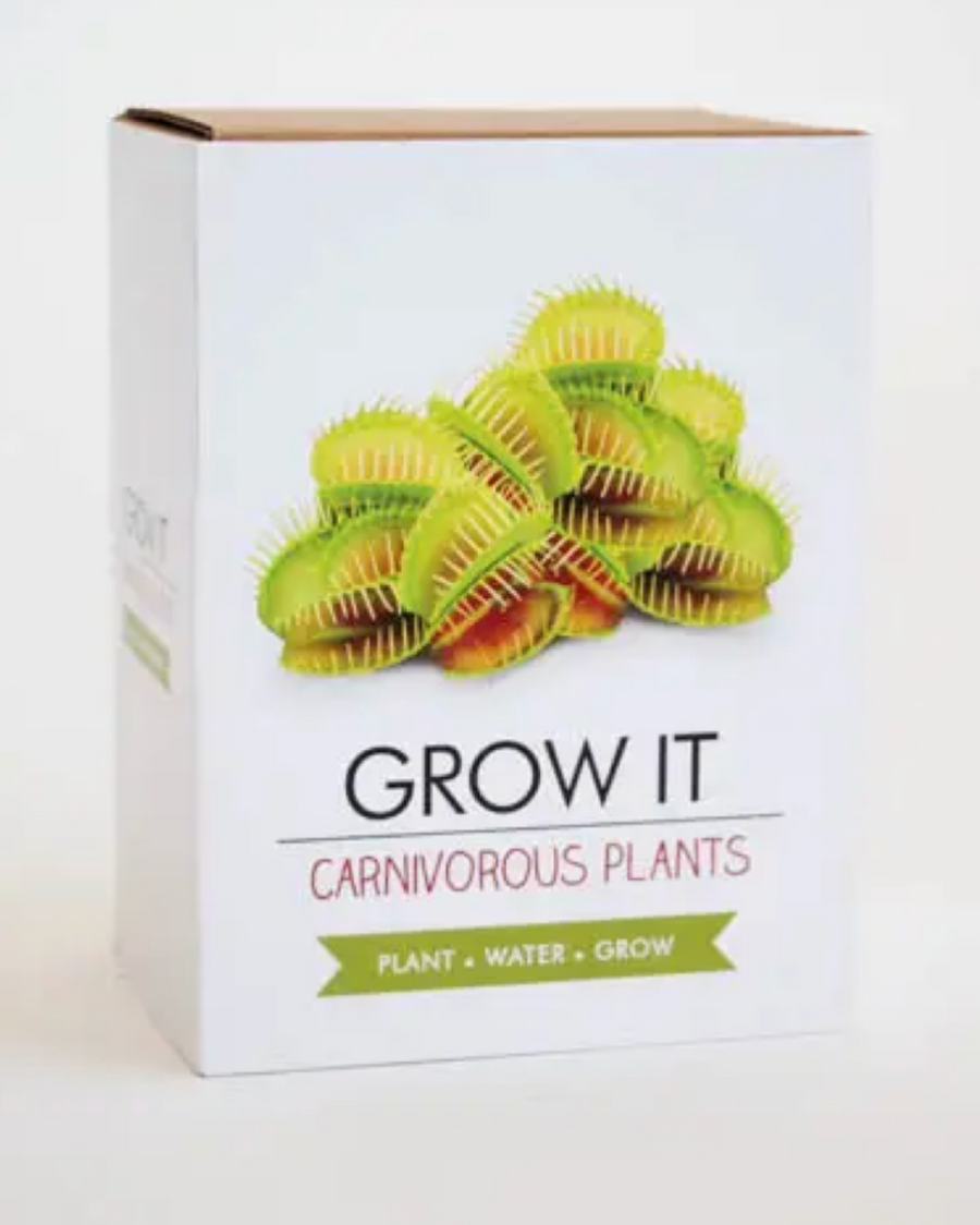 Box of carnivorous plants with a white background