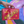 Red Calimocho 12 pack box held in front of a colorful background