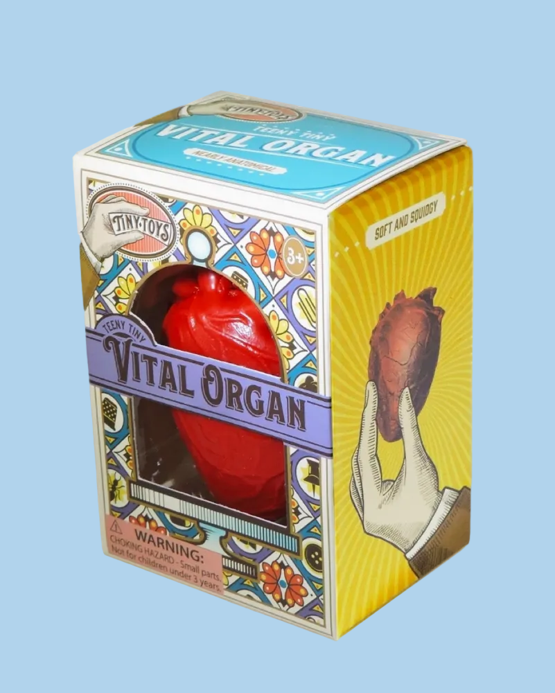 Tiny Vital Organ Squishy Heart