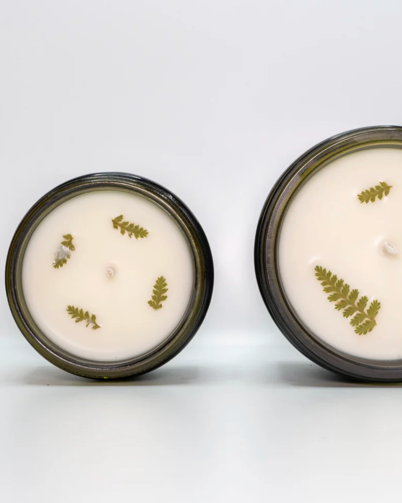 Two candles with pressed leaves on a white background