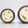 Two candles with pressed leaves on a white background