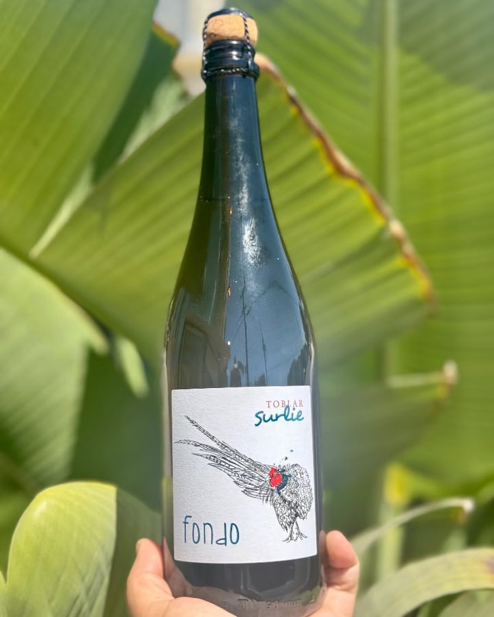 Bottle of 'fondo' with a label featuring a bird illustration, held against a green leafy background.