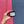 A hand holding a small black jar soy candle labeled 'VIVA LA VULVA' against a split pink and blue textured wall background.