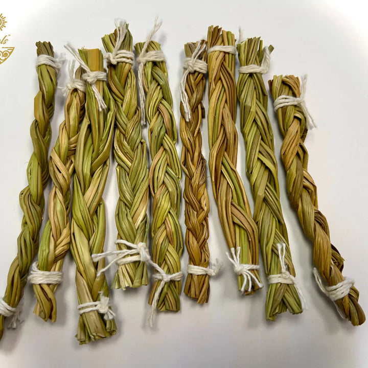 Bundles of braided dried sweetgrass tied together on a white background 