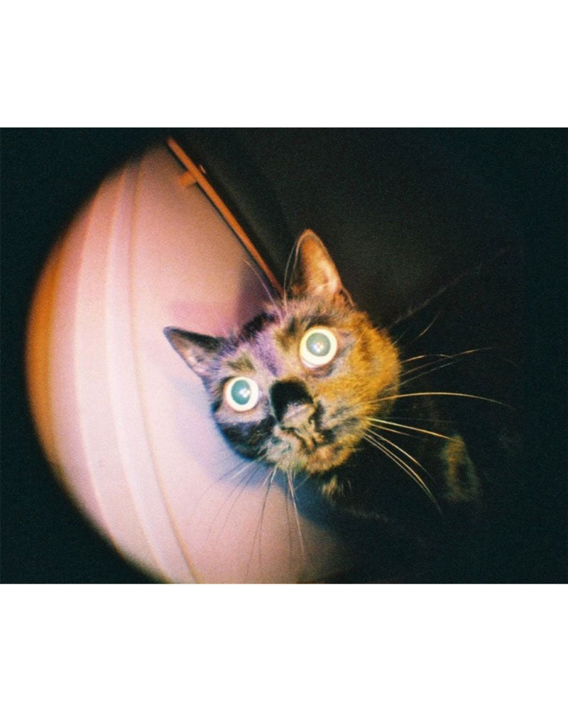 With a sleek black metallic design, the oh-so-adorable Fisheye Baby 110 Camera may be small, but it packs a 170-degree punch, shooting super-cool bulbous spheres on 110 film.