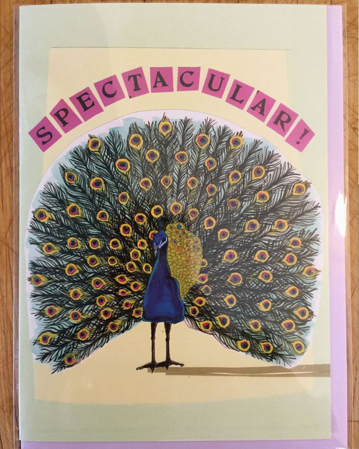 Spectacular Peacock Greeting Card. Blank inside.