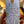 Rambela Randi Famoso 100% Famoso Emilia Romagna, Italy.  Woman wine grower - Giovanna Randi. All natural. Sunny day, sweeping the clouds away. On my way to where the wine is neat. Can you tell me how to get to Hoover st.?! Baby orange. 4 days on skins. Soft, sunny, salty, smooth.