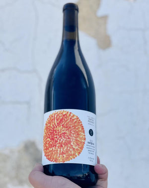 100% Carignan. Mendocino, California.  Woman winemaker - Martha Stoumen. All natural. Tiny production get it while it lasts. Dried tart cherry jam. Wet stones + dusty tannins. Chillable red. Mullet wine...business in the front and party in the back.