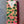 California Love by Compartés Chocolates Los Angeles. Gourmet handmade dark chocolate bar made with gourmet dark chocolate and tons of crushed San Francisco sourdough pretzels. This combo is the ultimate meeting of dark chocolate, sea salt, and crunch.