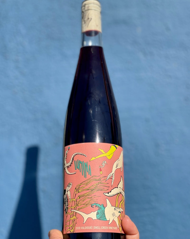 100% Valdiguie. Shell Creek Vineyard, Paso Robles, California.  Woman winemaker - Janie Willheim. All natural. Chillable red. Bouncy with light feelings and easy fun vibes like some K-pop band you can't stop listening to. Unripe cherries. Mineral salt. Limited special!