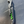 Solid and fun, these openers are down to get the job done! Black with green
