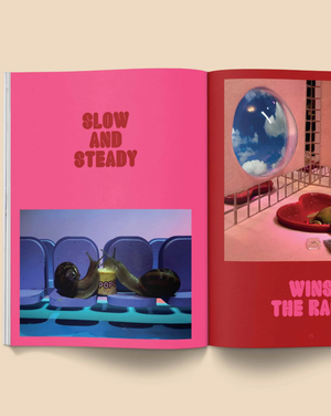 Snail World: Life in the Slimelight is a collection of absorbing snapshots from an alternate universe where snails drink bubble tea at the mall, hit tiny bongs, and get beamed up into flying saucers.